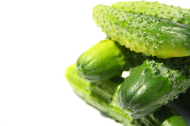 Similar image 208562