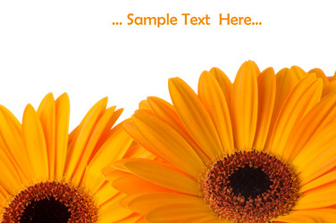 Similar image 208632