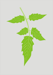 Similar image 208642