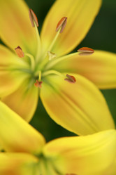 Similar image 208666