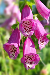 Similar image 208668