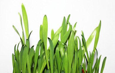 Similar image 208687