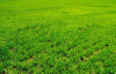 Similar image 208692