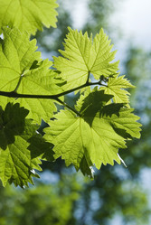 Similar image 208696