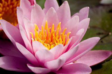 Similar image 208739