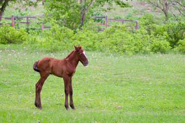 Similar image 208749