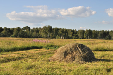 Similar image 208780