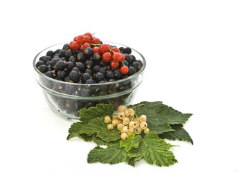 Similar image 208783