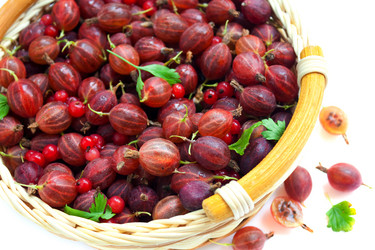 Similar image 208784