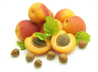 Similar image 208785