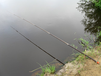 Similar image 208794