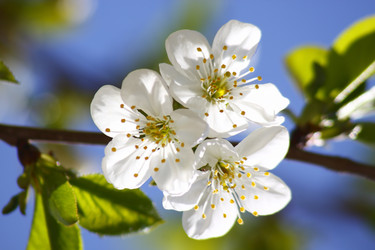 Similar image 208811