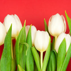 Similar image 208821