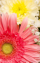 Similar image 208822