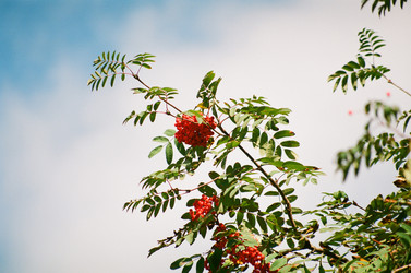 Similar image 208837