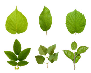 Similar image 208840