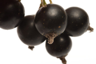 Similar image 208842