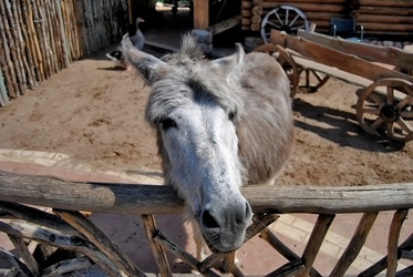 Similar image 208848