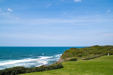 Similar image 208852