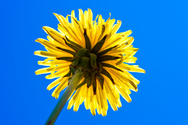 Similar image 208858