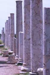 Similar image 208859