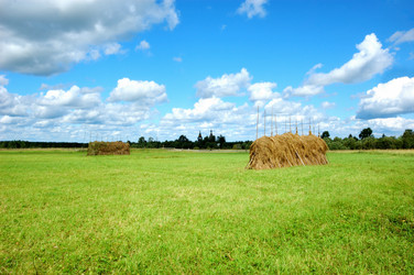 Similar image 208907