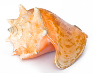 Similar image 208910