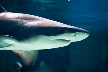 Similar image 208918