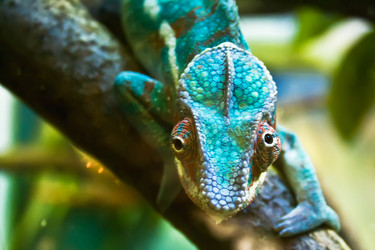 Similar image 208931