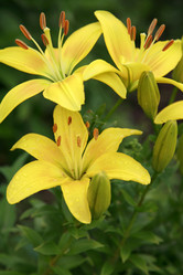 Similar image 208975