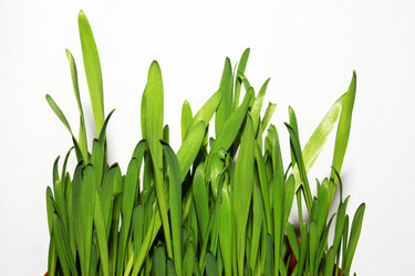 Similar image 208995