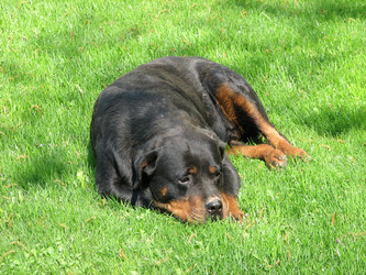 Similar image 209013