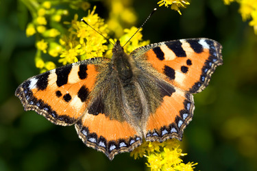 Similar image 209019