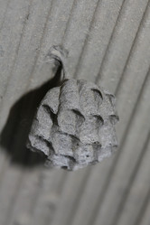 Similar image 209056