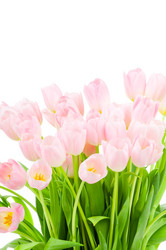 Similar image 209093