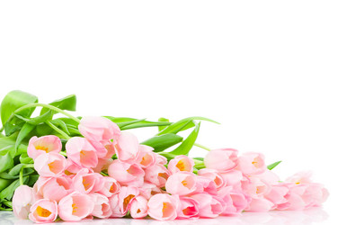 Similar image 209129