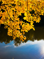 Similar image 209133