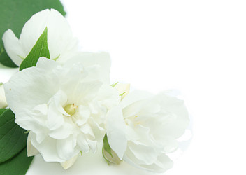 Similar image 209135