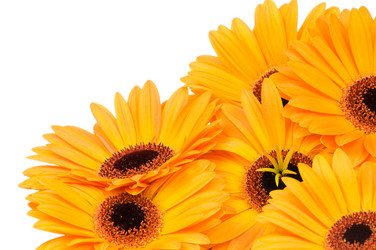 Similar image 209141