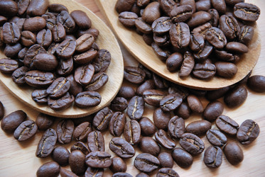 Similar image 209165