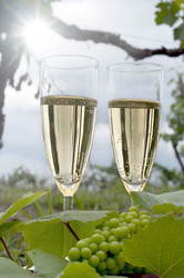 Similar image 209181