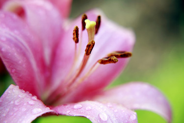 Similar image 209184