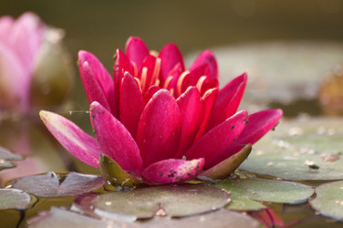 Similar image 209185