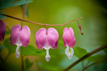 Similar image 209186