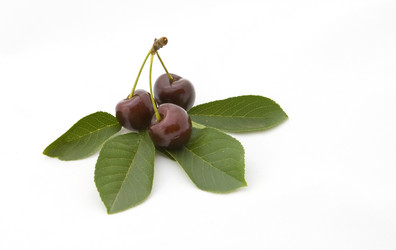 Similar image 209194