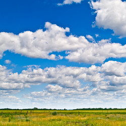 Similar image 209205