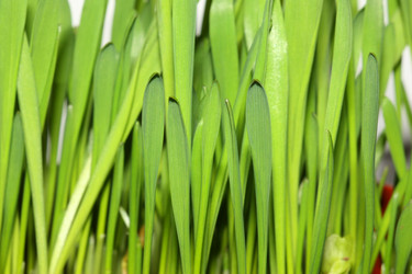 Similar image 209211