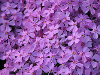 Similar image 209214