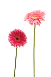 Similar image 209215