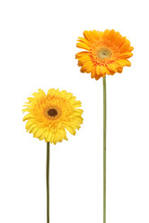 Similar image 209216